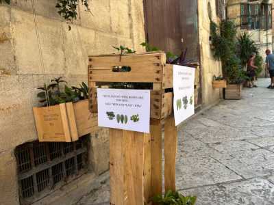 Notiamo subito la cassetta di legno protagonista della storia